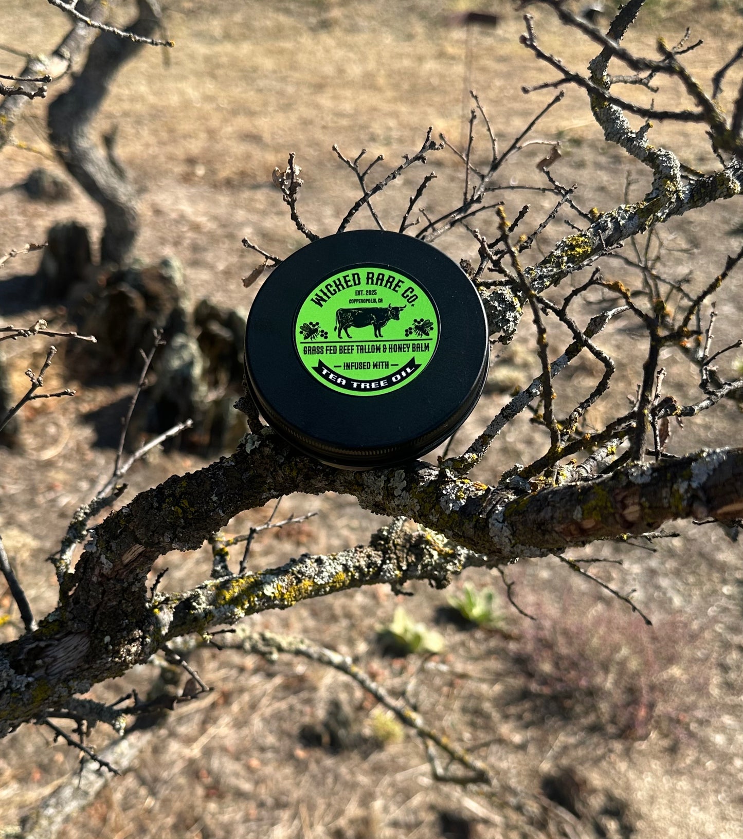 Grass-Fed Beef Tallow & Honey Balm